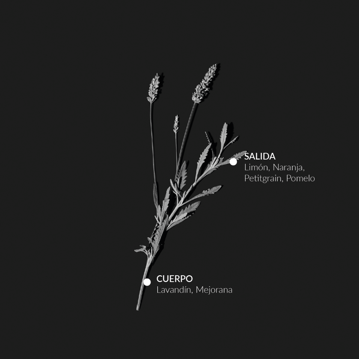 Agua de colonia Anti-Stress Alqvimia: beneficios