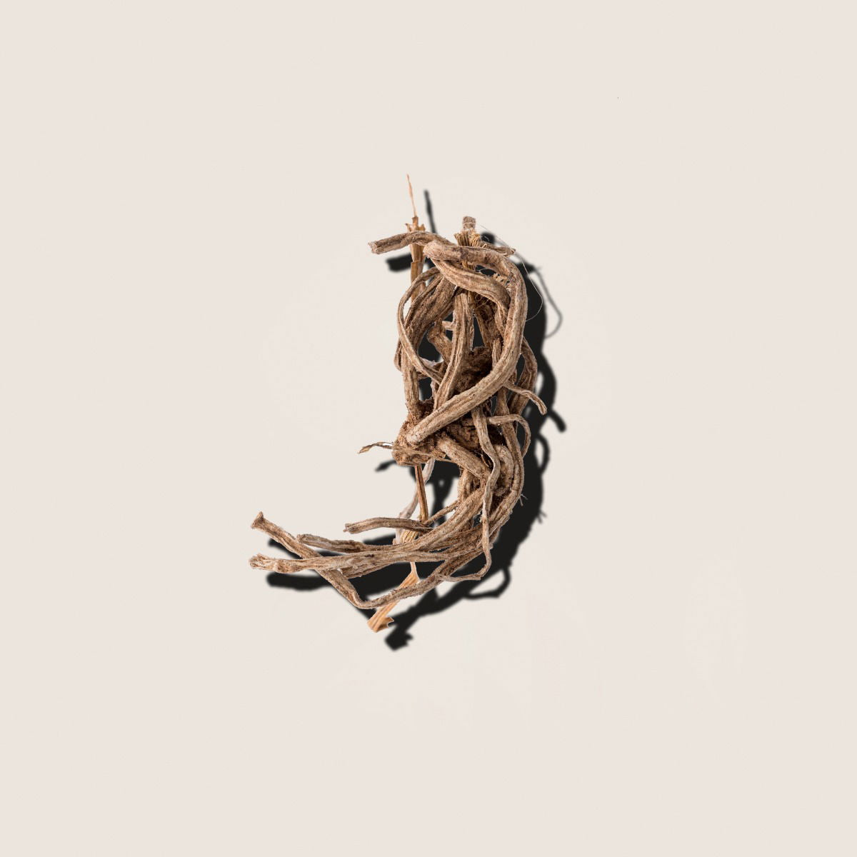 Vetiver, aceite esencial de Alqvimia