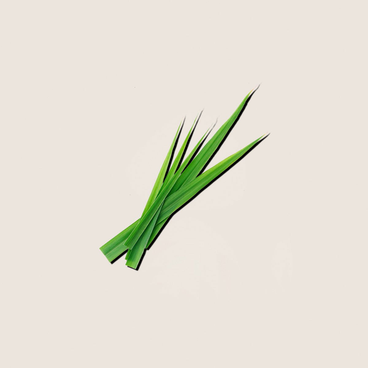 Lemongrass, aceite esencial de Alqvimia