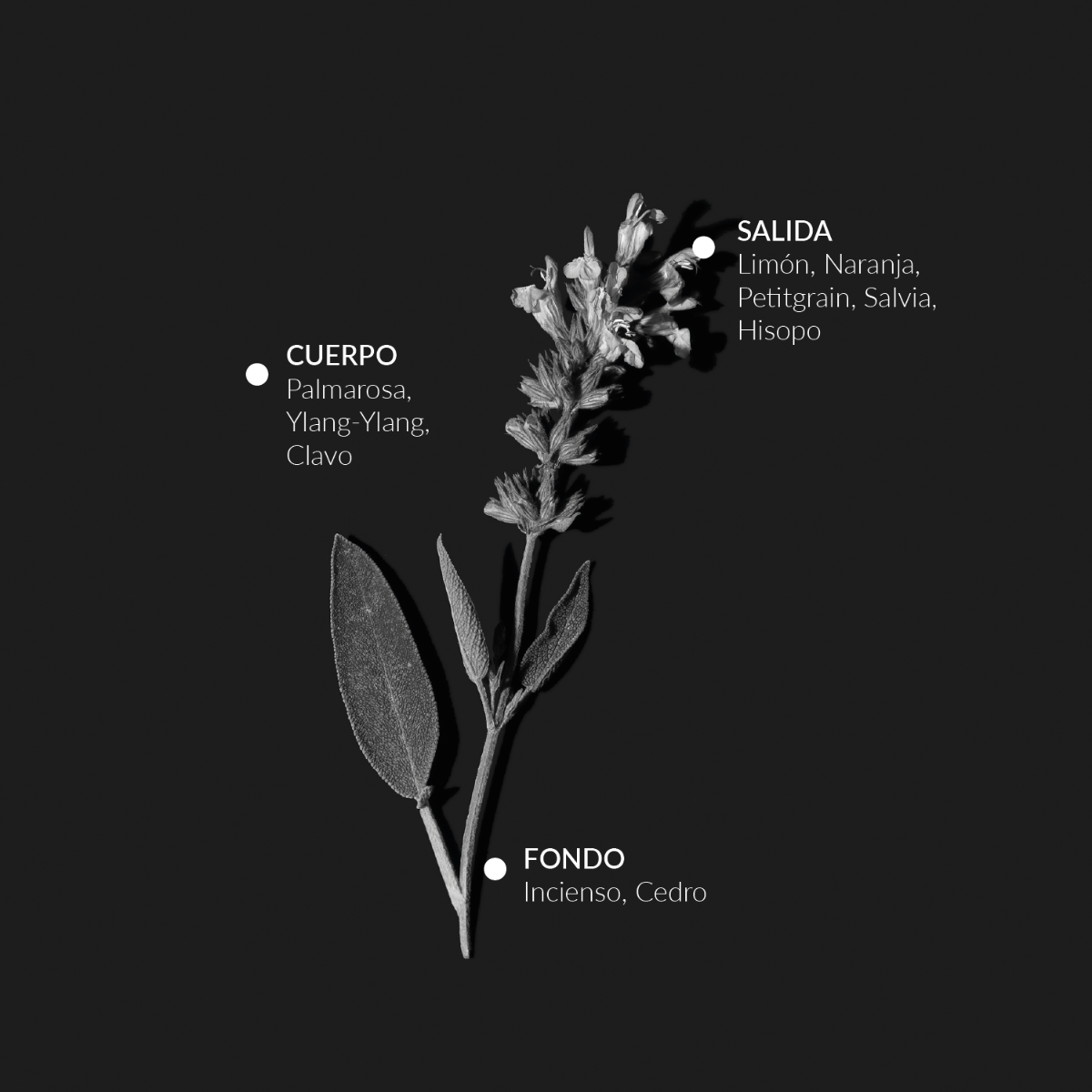 Agua de Salvia Alqvimia: beneficios