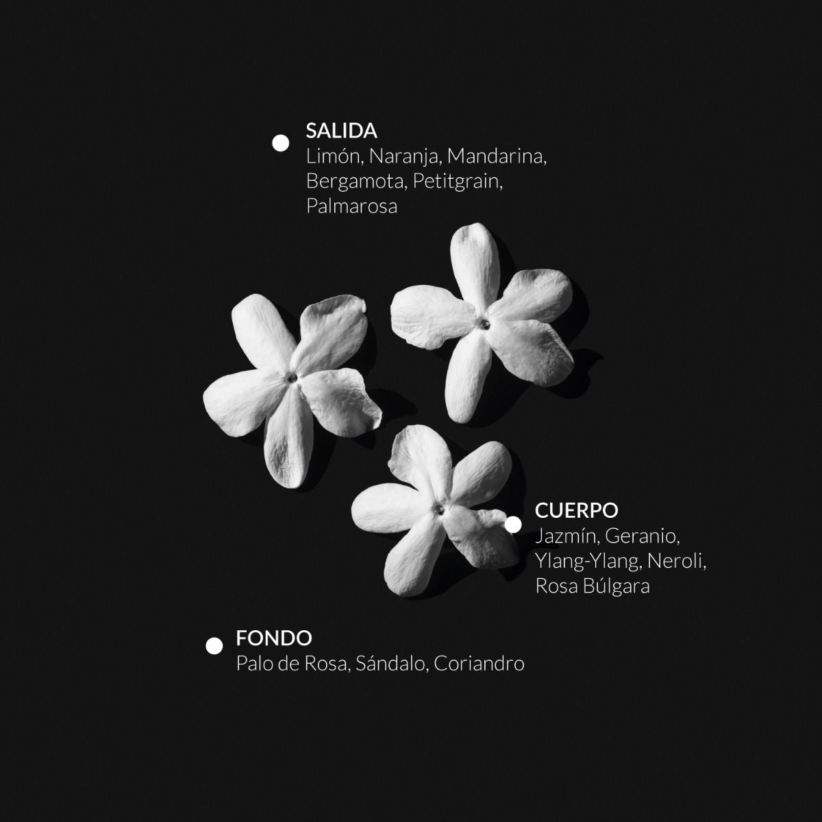 Sensuality Esprit de Parfum Alqvimia: notas